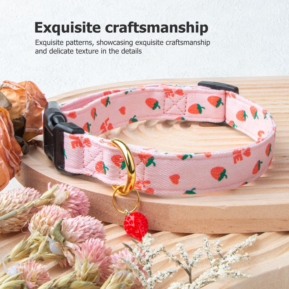 Exclusive design on FYEQYAOU collar helps your dog stand out on outings.