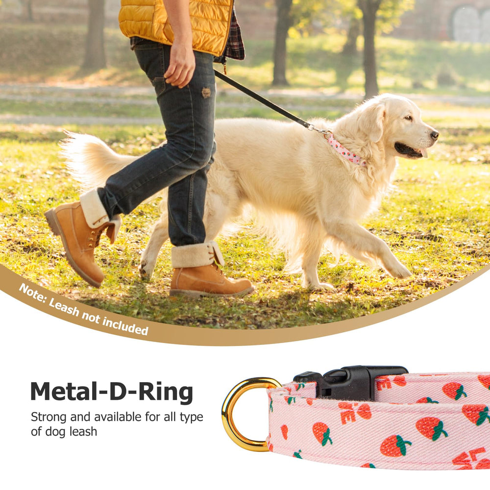 Gift-ready FYEQYAOU collar packaging makes a thoughtful present for dog lovers.