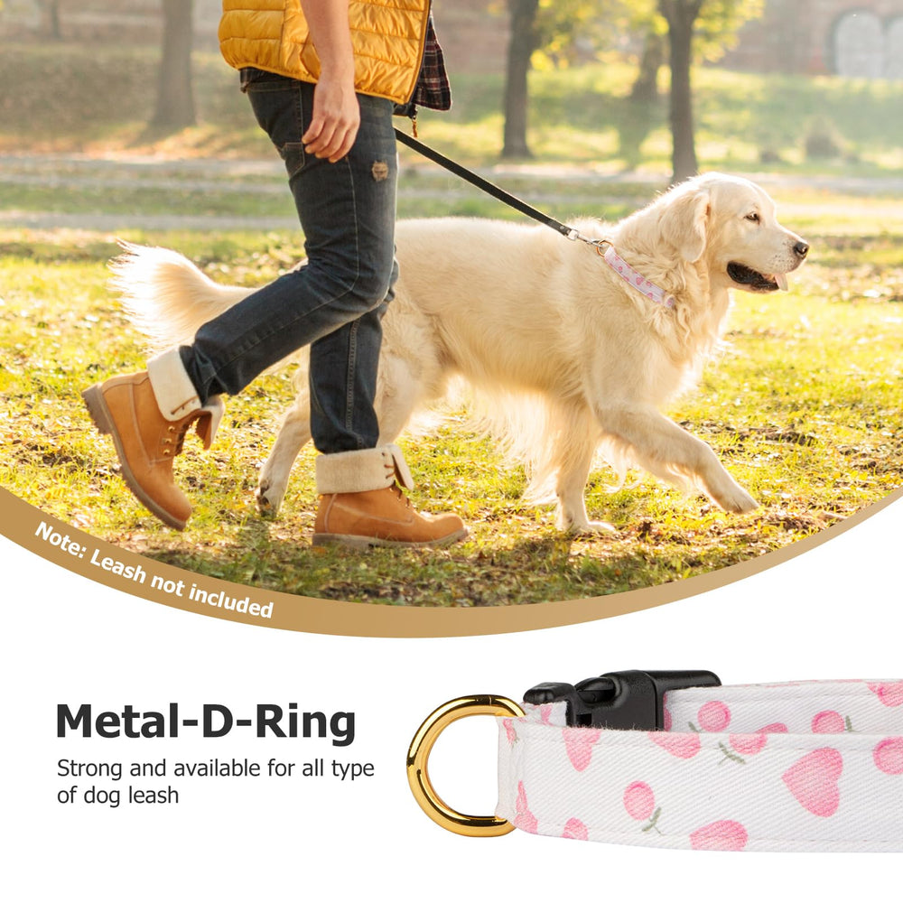 FYEQYAOU handmade dog collar by a team of dog enthusiasts.