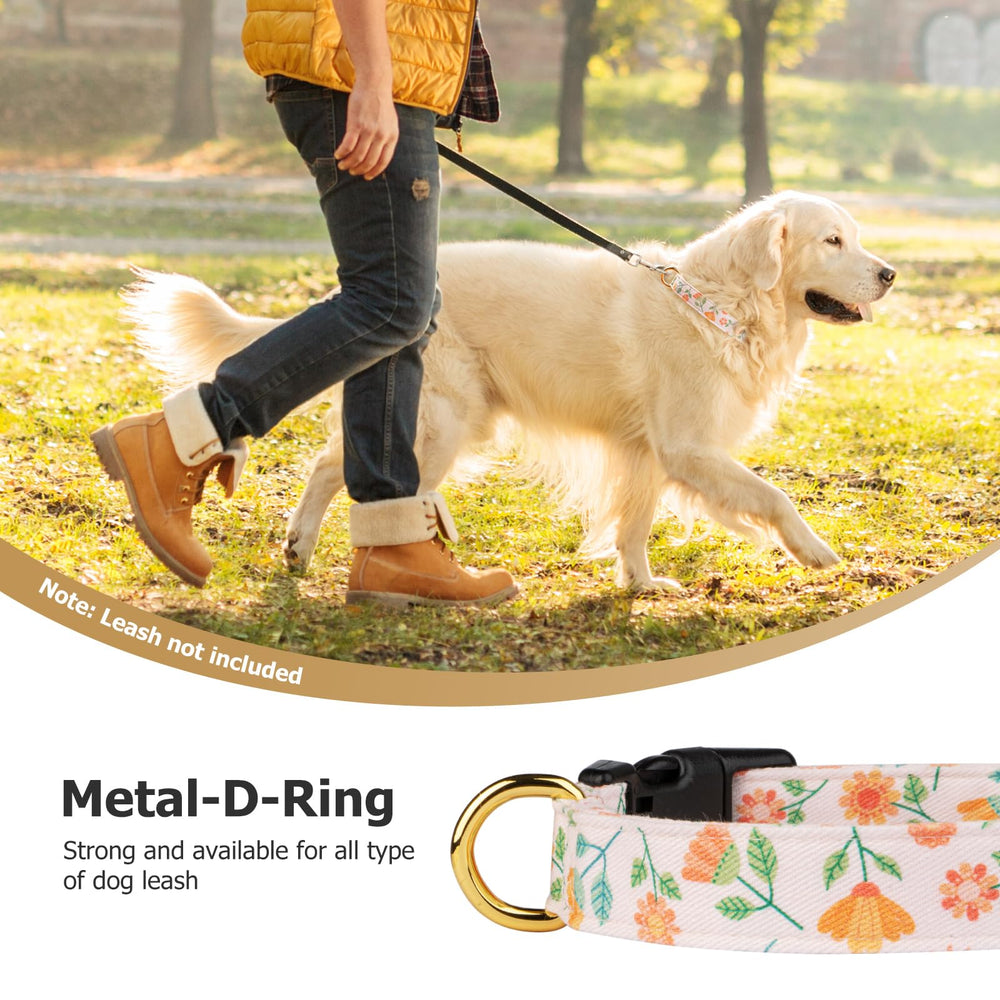 FYEQYAOU sizing options from small to large for growing dogs