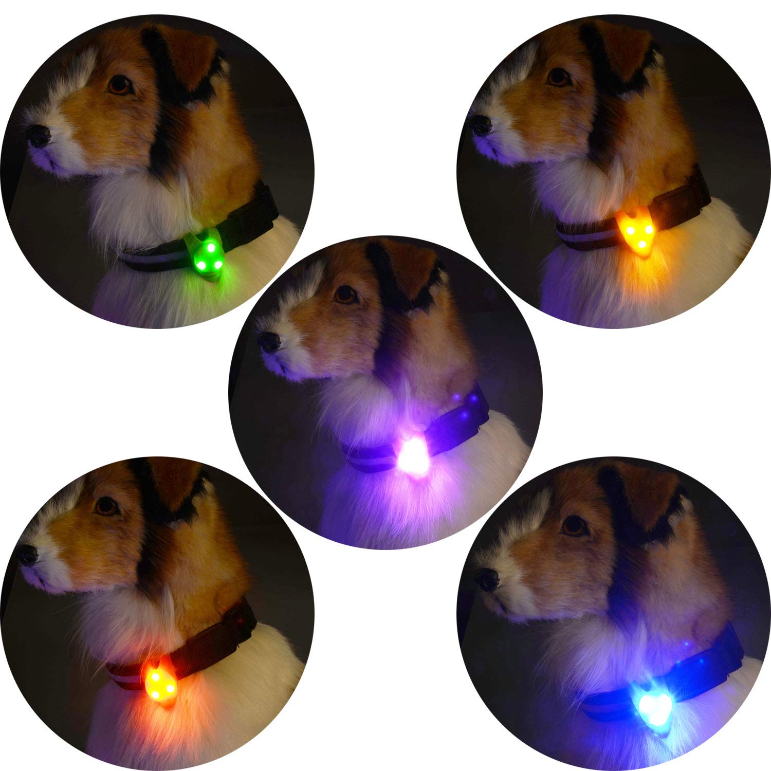 Fylarfly dog accessory clip-on light illustrates versatile safety gear for dogs and gear setups