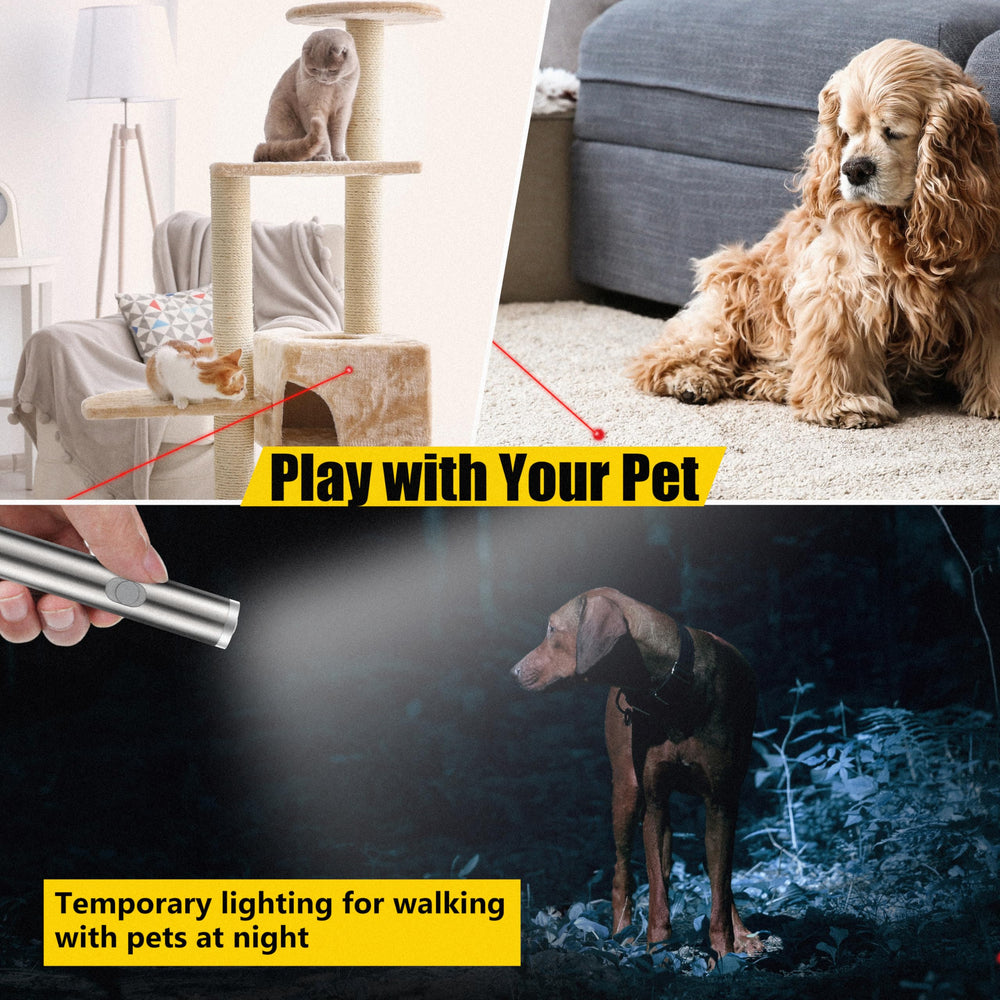 FYNIGO indoor-cat-exercise play offers energy burn and agility enrichment.