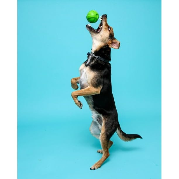FYNORI Dura Play Ball hand retrieval demonstrates interactive play opportunities.