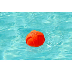 FYNORI Dura Play Ball outdoor backyard session emphasizes durability.