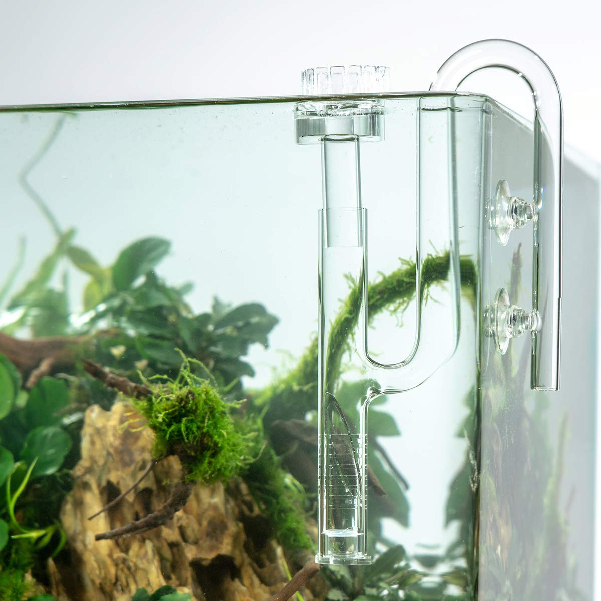 FZONE glass lily set includes inflow, outflow, and suction cups for complete filtration.