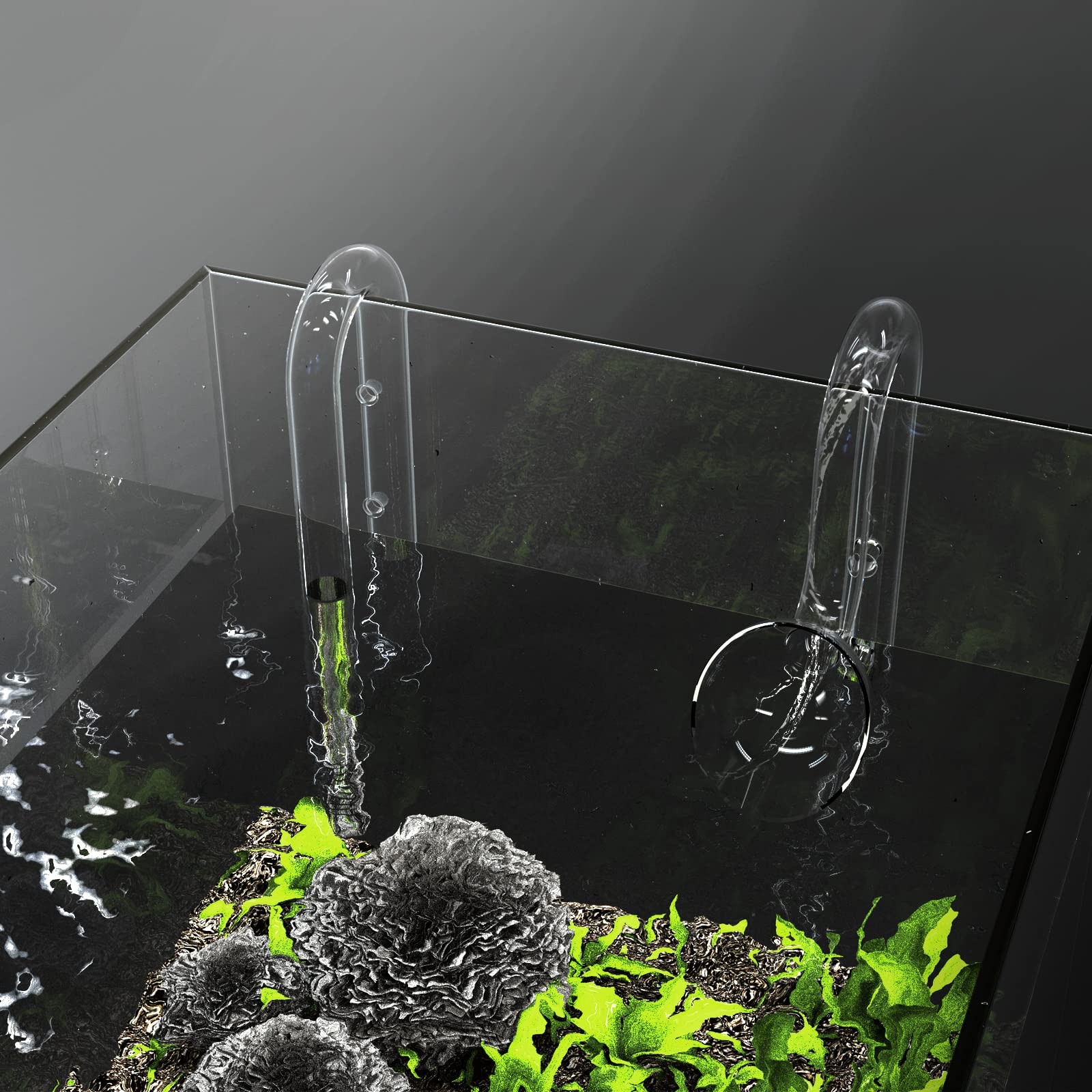 FZONE filter guard attached—shrimp-safe filtration for small inhabitants.