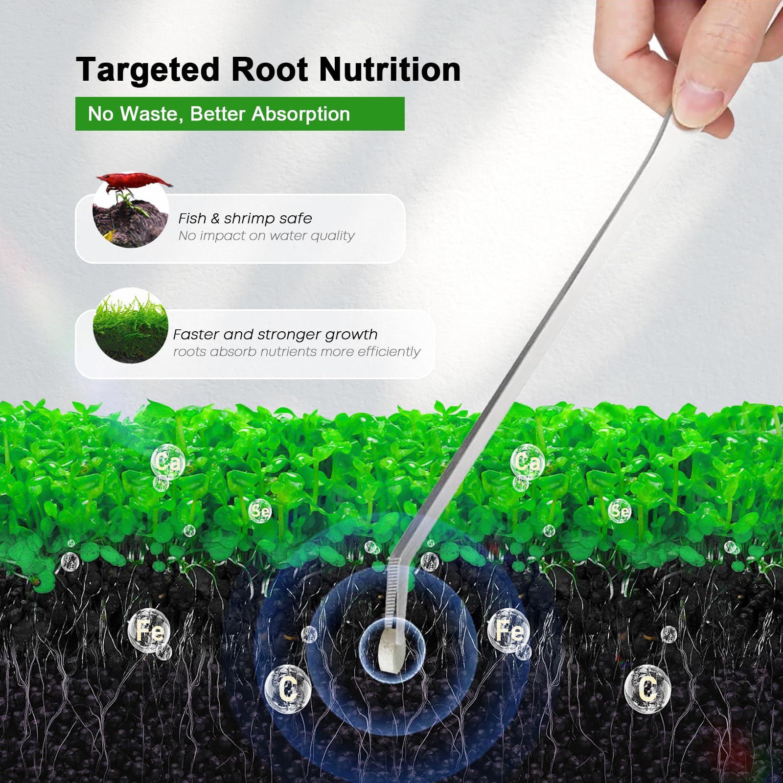 FZONE Root Tabs direct-to-root-delivery image highlights root feeding and plant growth