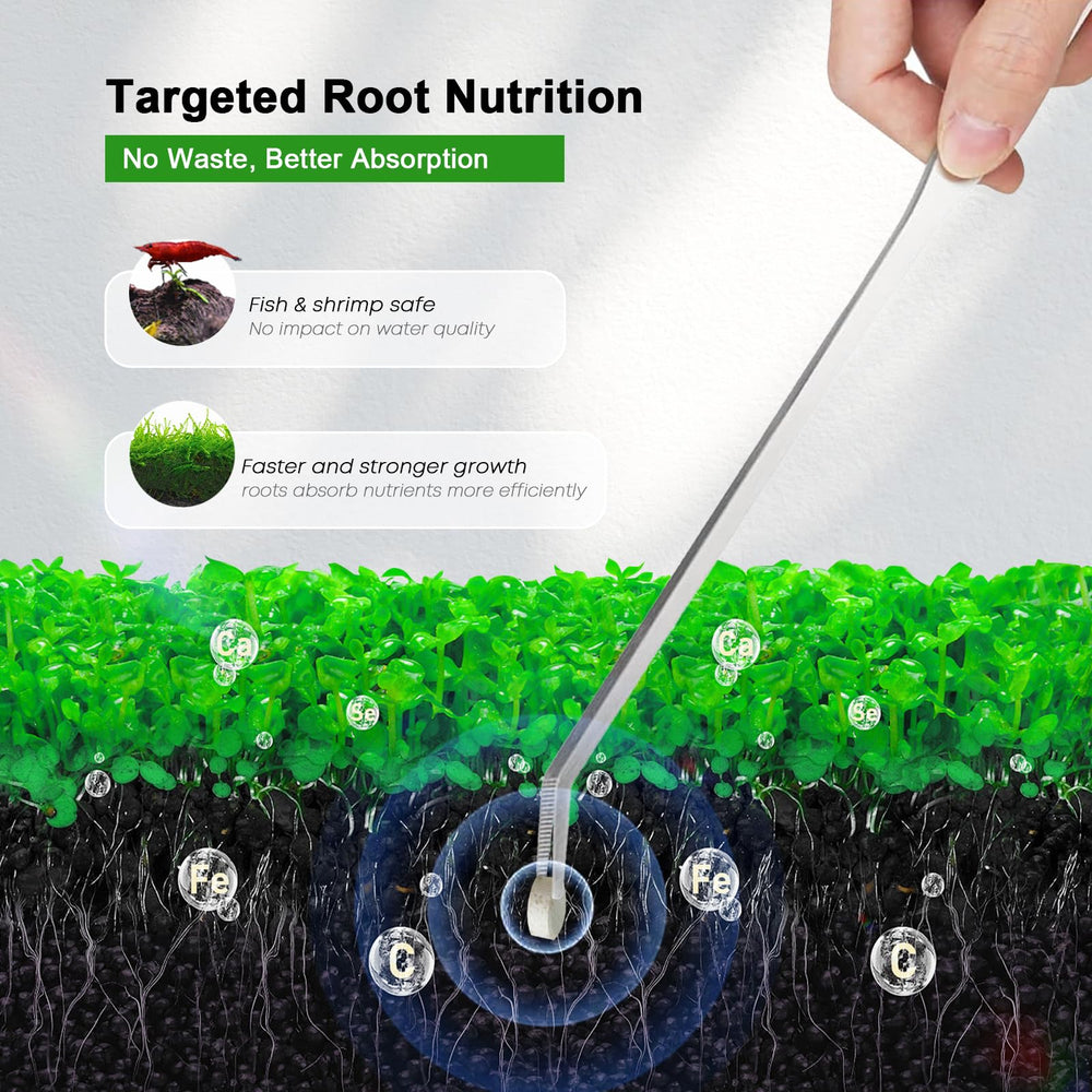 FZONE Root Tabs direct-to-root-delivery image highlights root feeding and plant growth