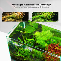 FZONE Root Tabs slow-release-uptake image illustrating extended nutrient delivery for months