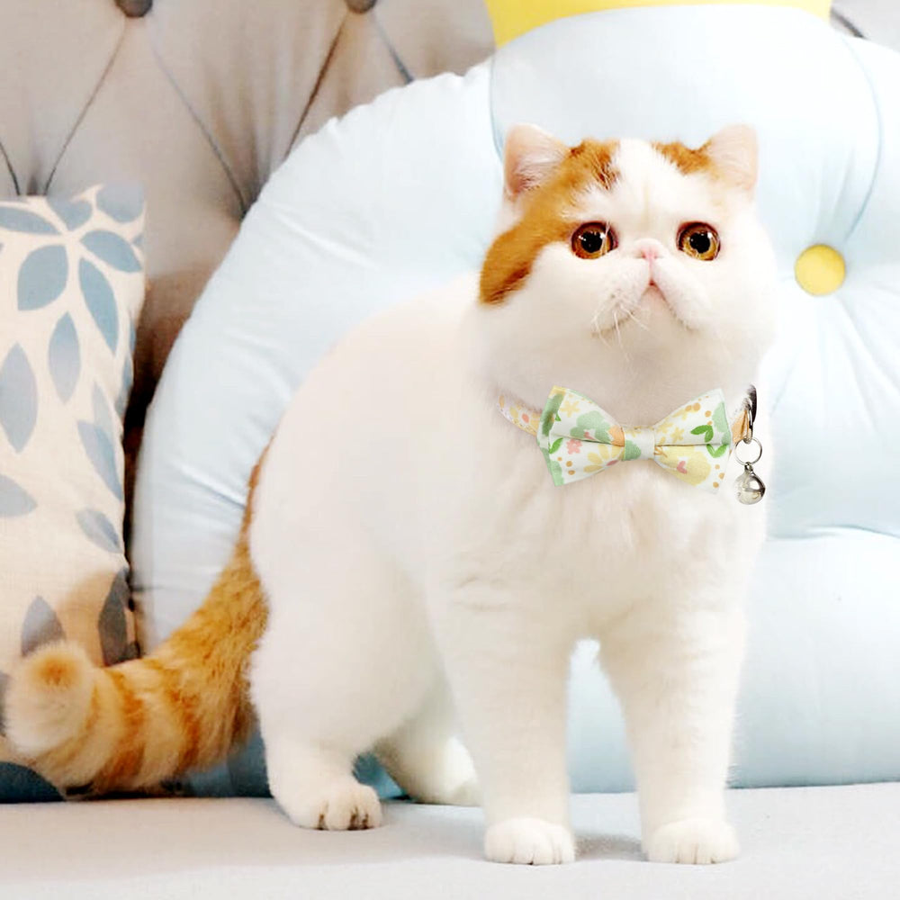 G-ficu adjustable neck green cat collar fits most cats safely