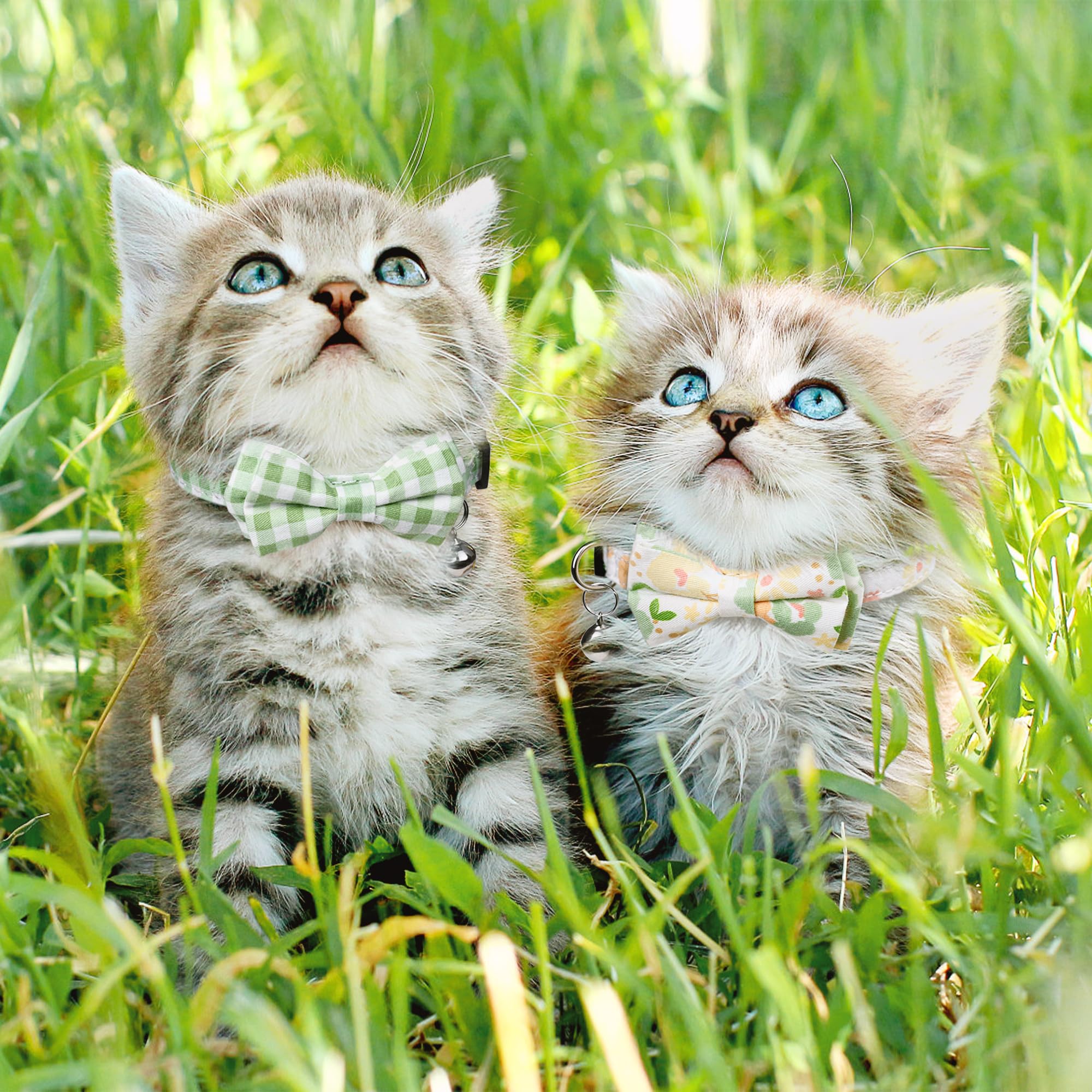 G-ficu instruction manual included with green cat collars