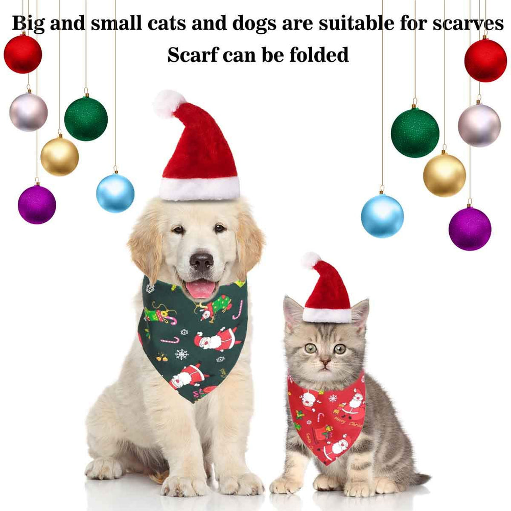 GABraden Christmas pet photo setup demonstrates stylish holiday look.