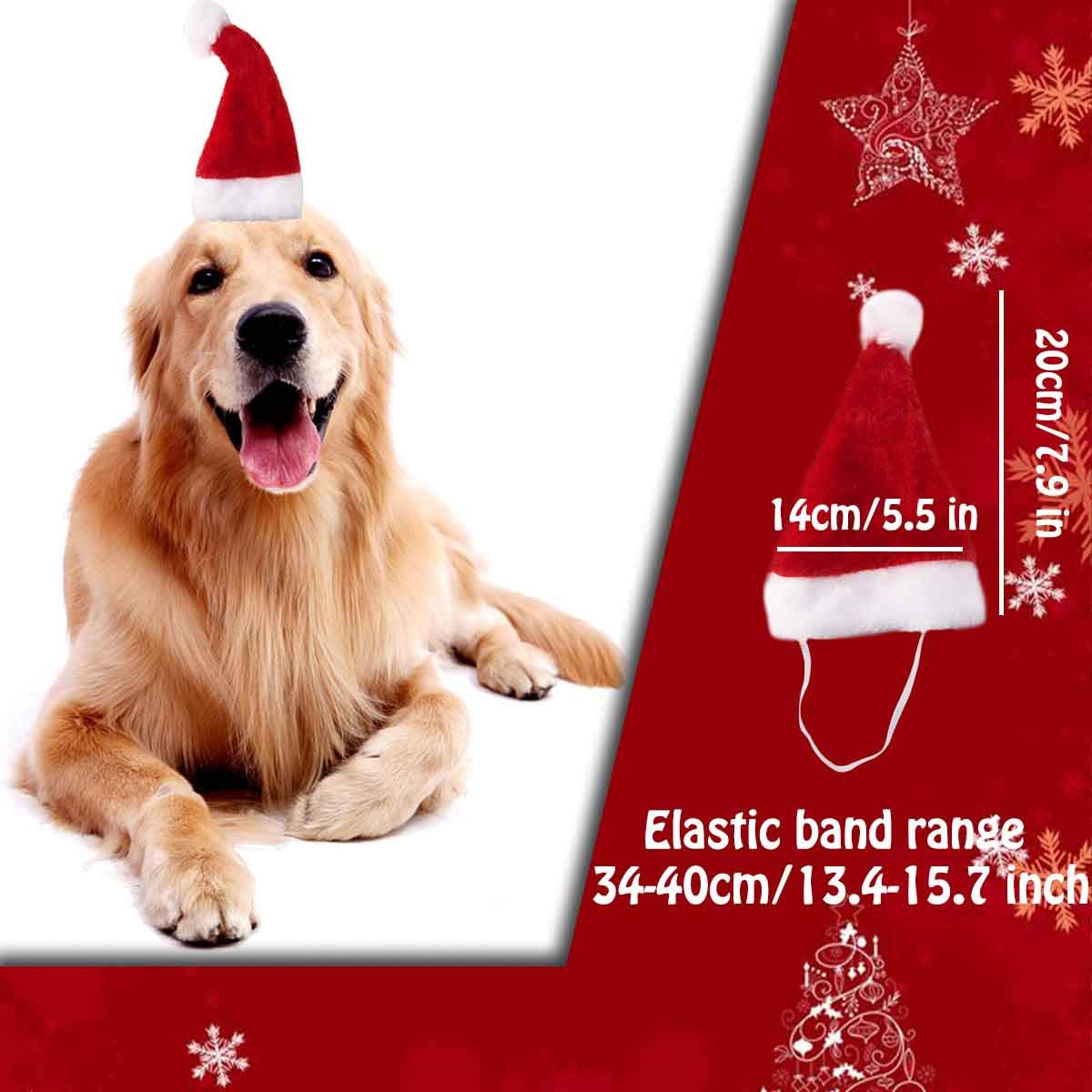 GABraden dog Santa hat elastic band detail helps secure a comfortable fit.