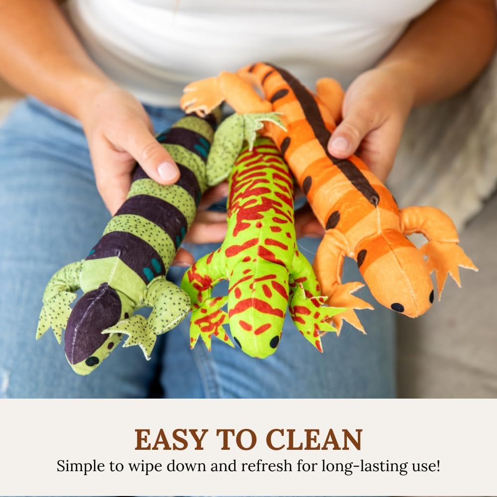 Gadgetsology cat toy set 6 pack provides varied interactive fun for cats