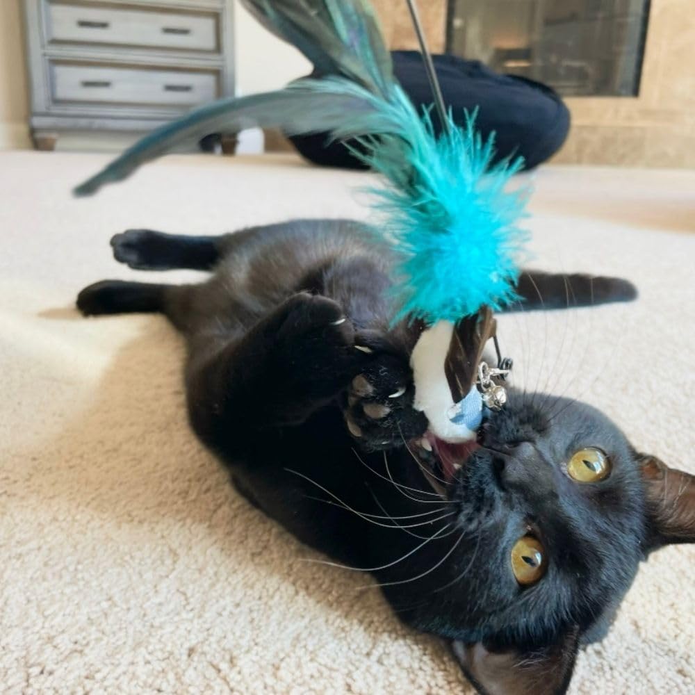 GADGETSOLOGY Cat Toys Set indoor-fun boredom-buster for curious felines
