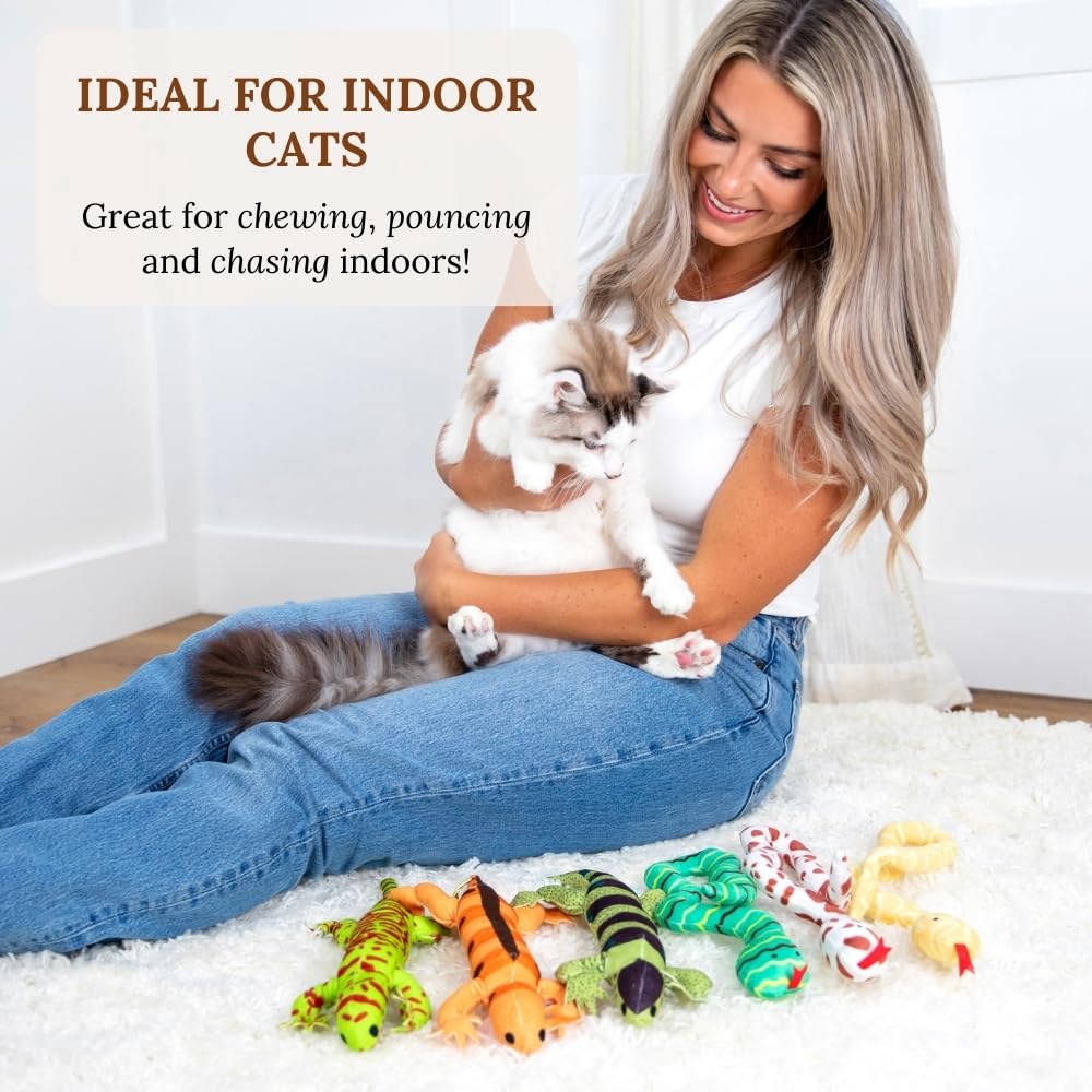 Gadgetsology premium catnip toy aroma rich for hours of curious exploration