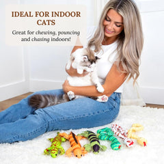 Gadgetsology premium catnip toy aroma rich for hours of curious exploration