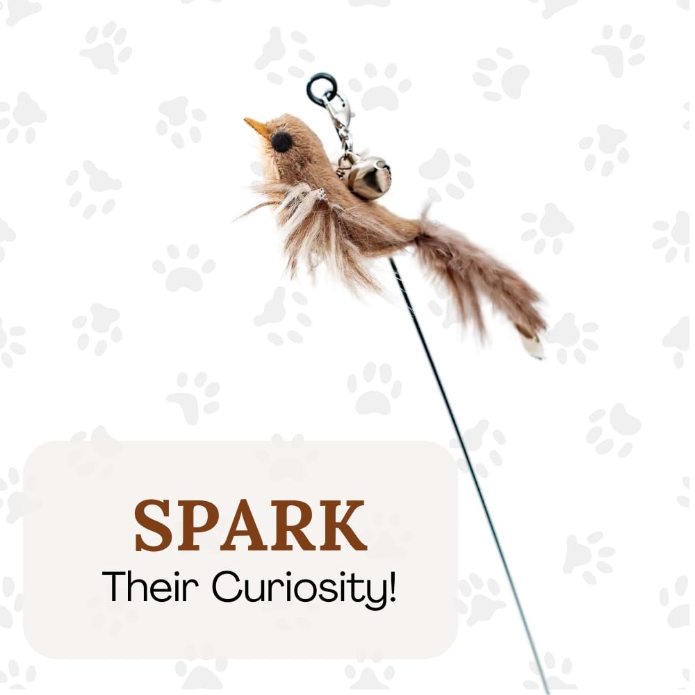 GADGETSOLOGY self-play cat toy encouraging independent activity and enrichment.