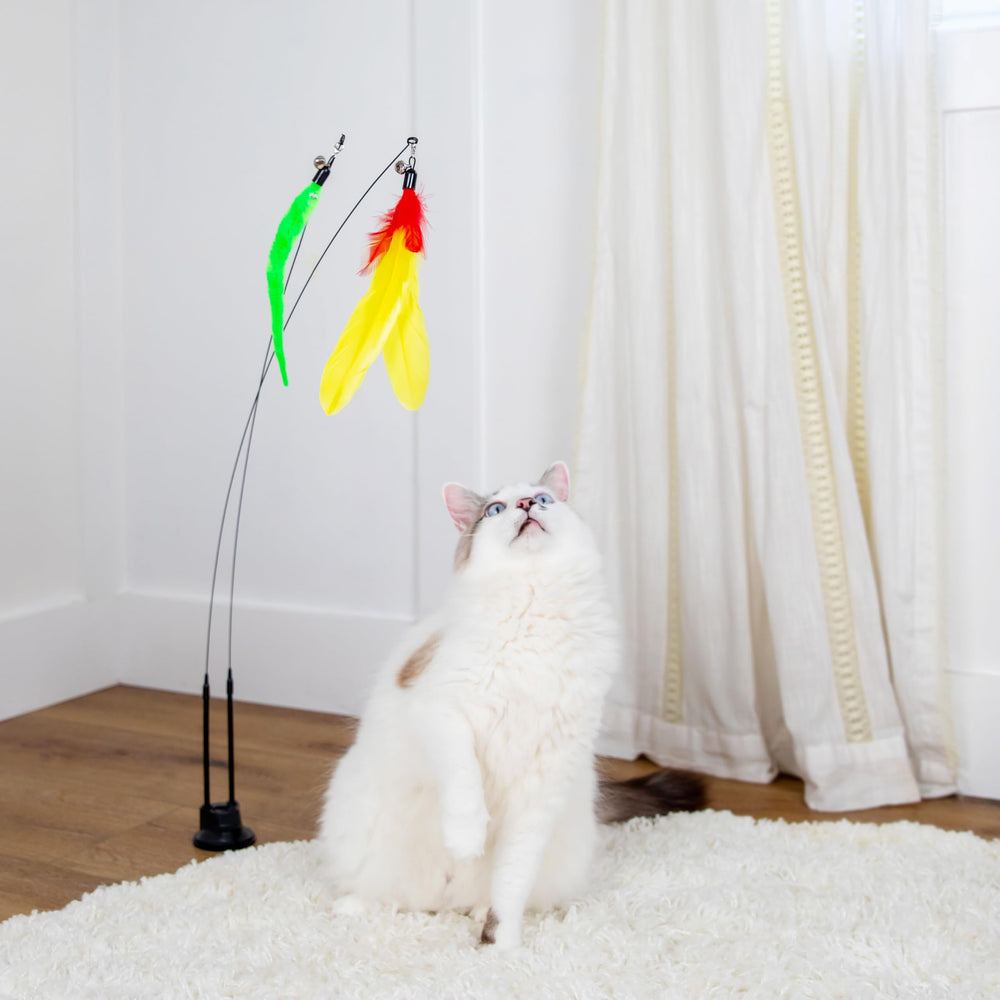 GADGETSOLOGY suction cup cat toy showcases secure mounting for dynamic play.