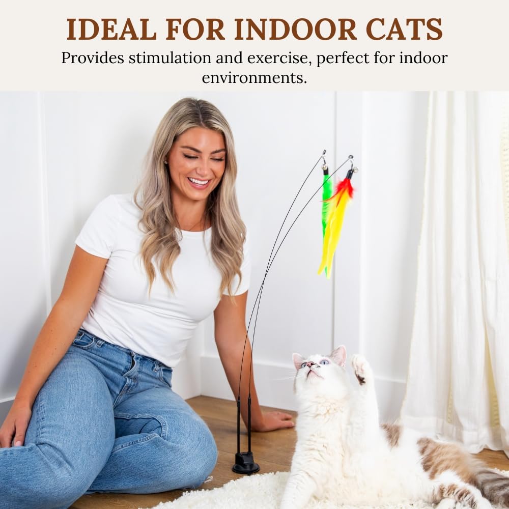 GADGETSOLOGY kittens benefit from varied play sessions on any surface