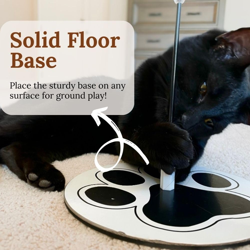 GADGETSOLOGY suction-friendly design for windows, fridges, and tiles