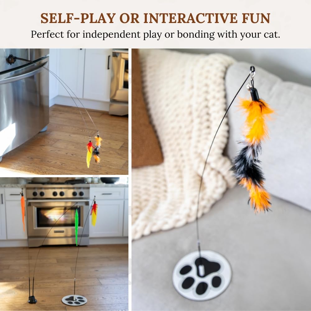 GADGETSOLOGY worm attachments encourage stalking and pounce behaviors