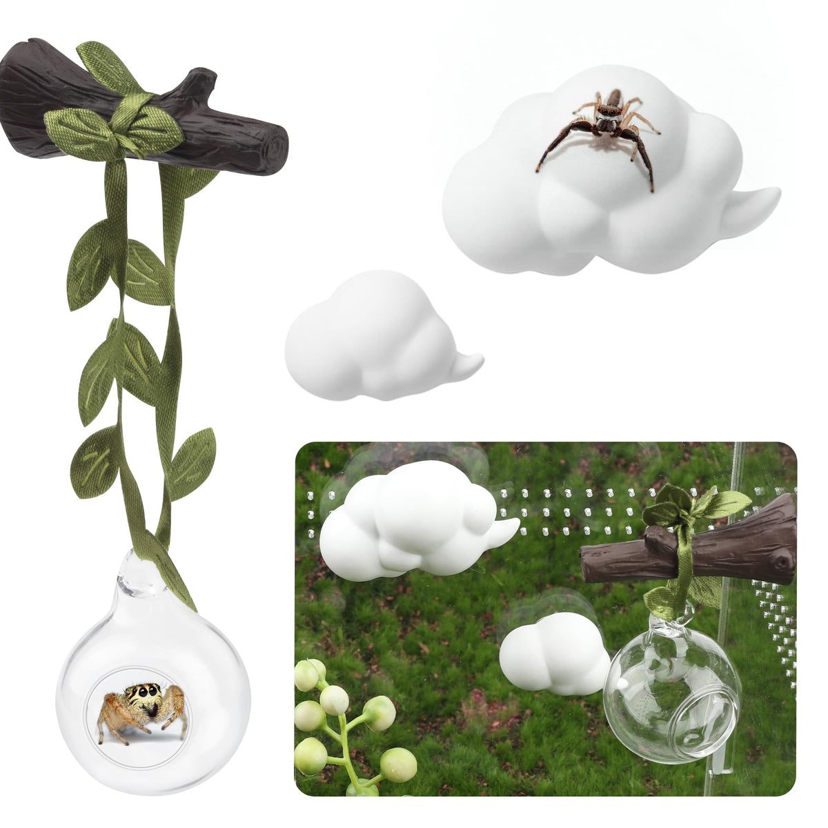 GAGILAND glass ball habitat view for easy observation of your spider
