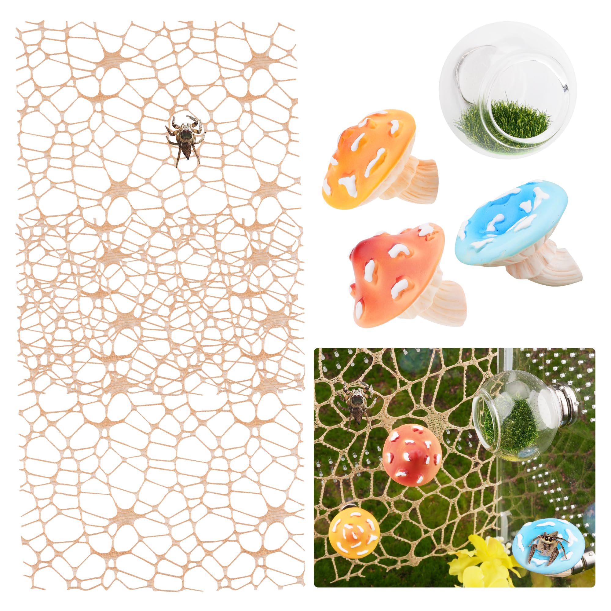 GAGILAND glass ball habitat with 360-degree viewing for observing jumping spiders