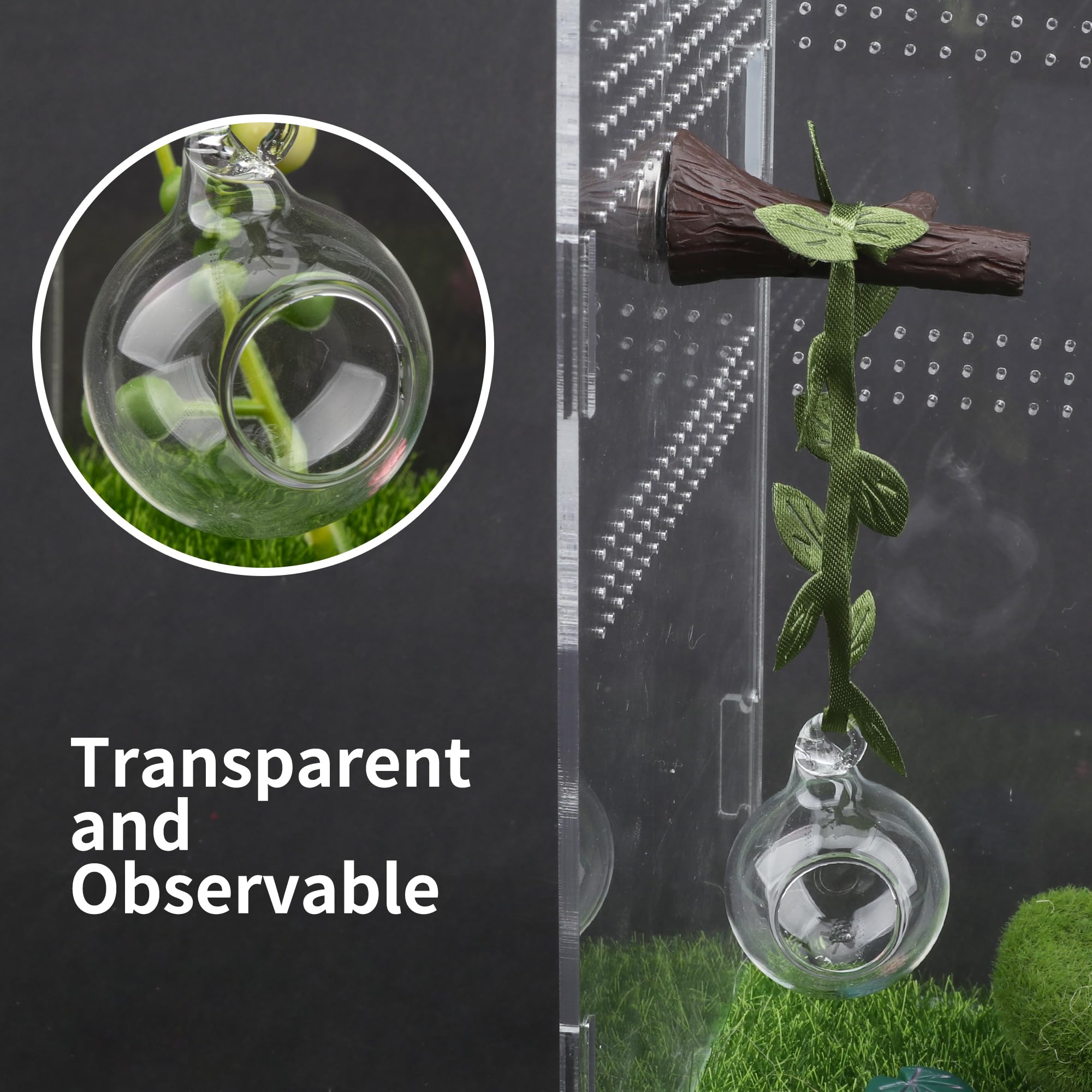 GAGILAND glass sight lines support easy safety monitoring of spider activity