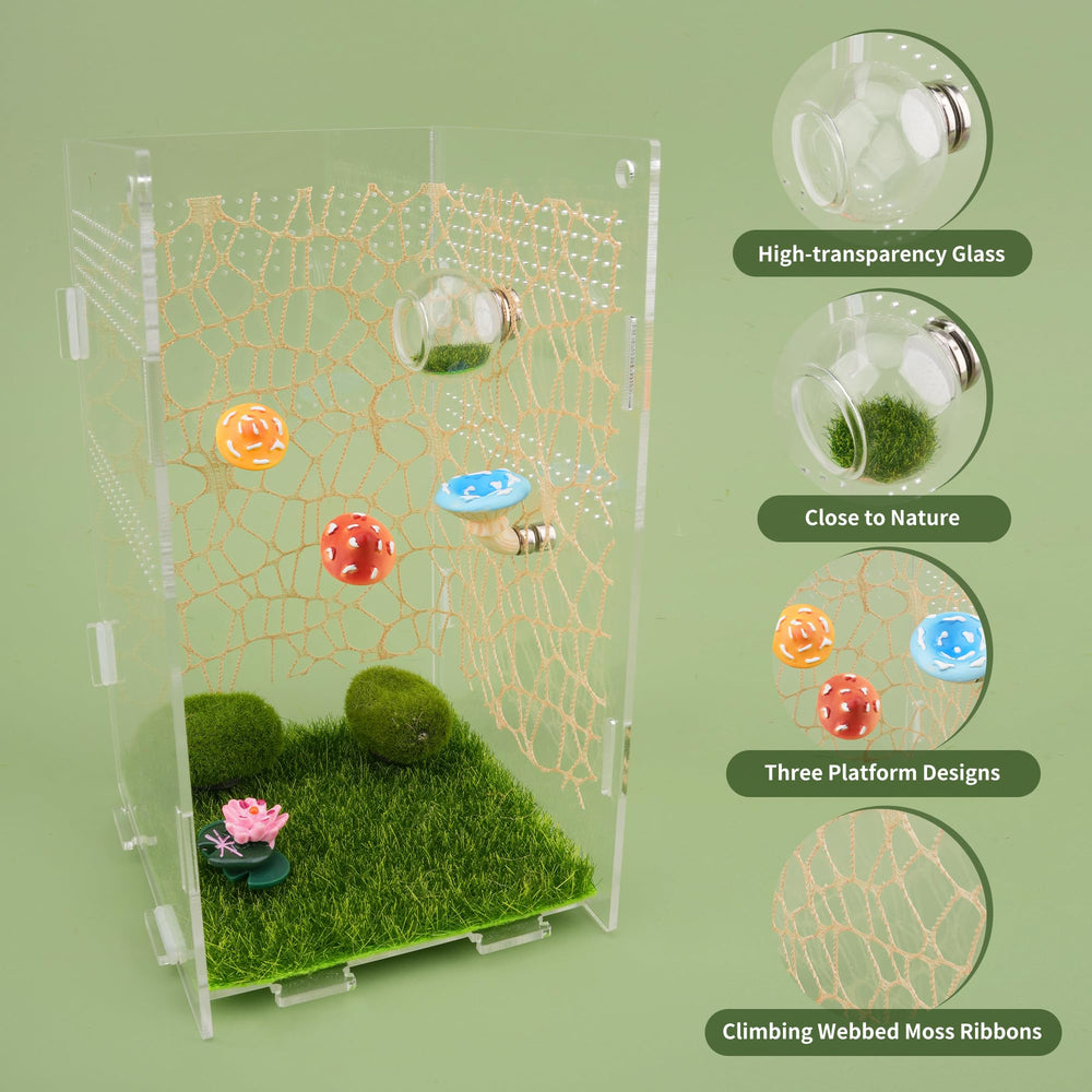 GAGILAND moss ribbons adding natural textures and routes inside the enclosure