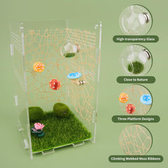 GAGILAND moss ribbons adding natural textures and routes inside the enclosure