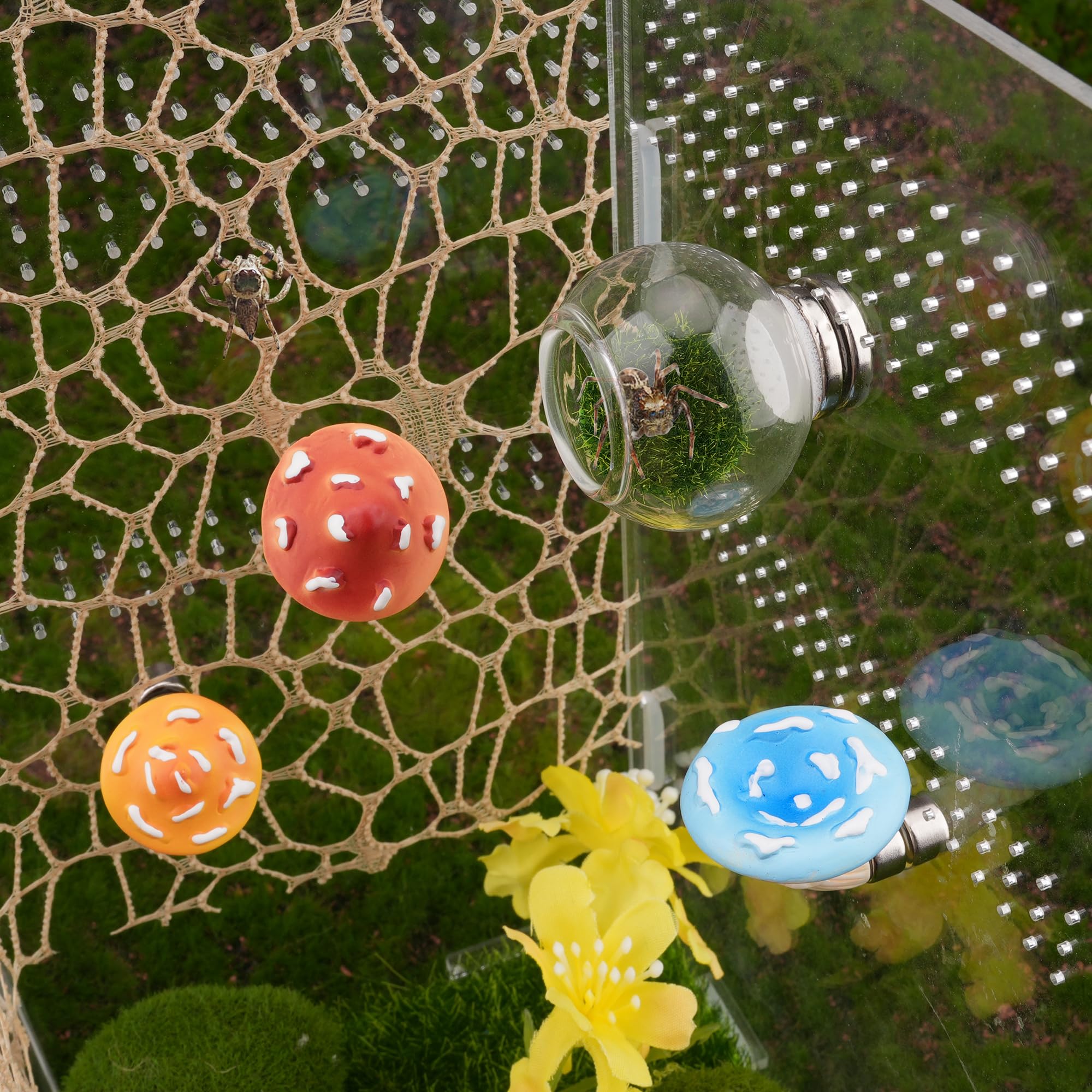 GAGILAND natural habitat design enhancing a cozy, nature-inspired spider enclosure