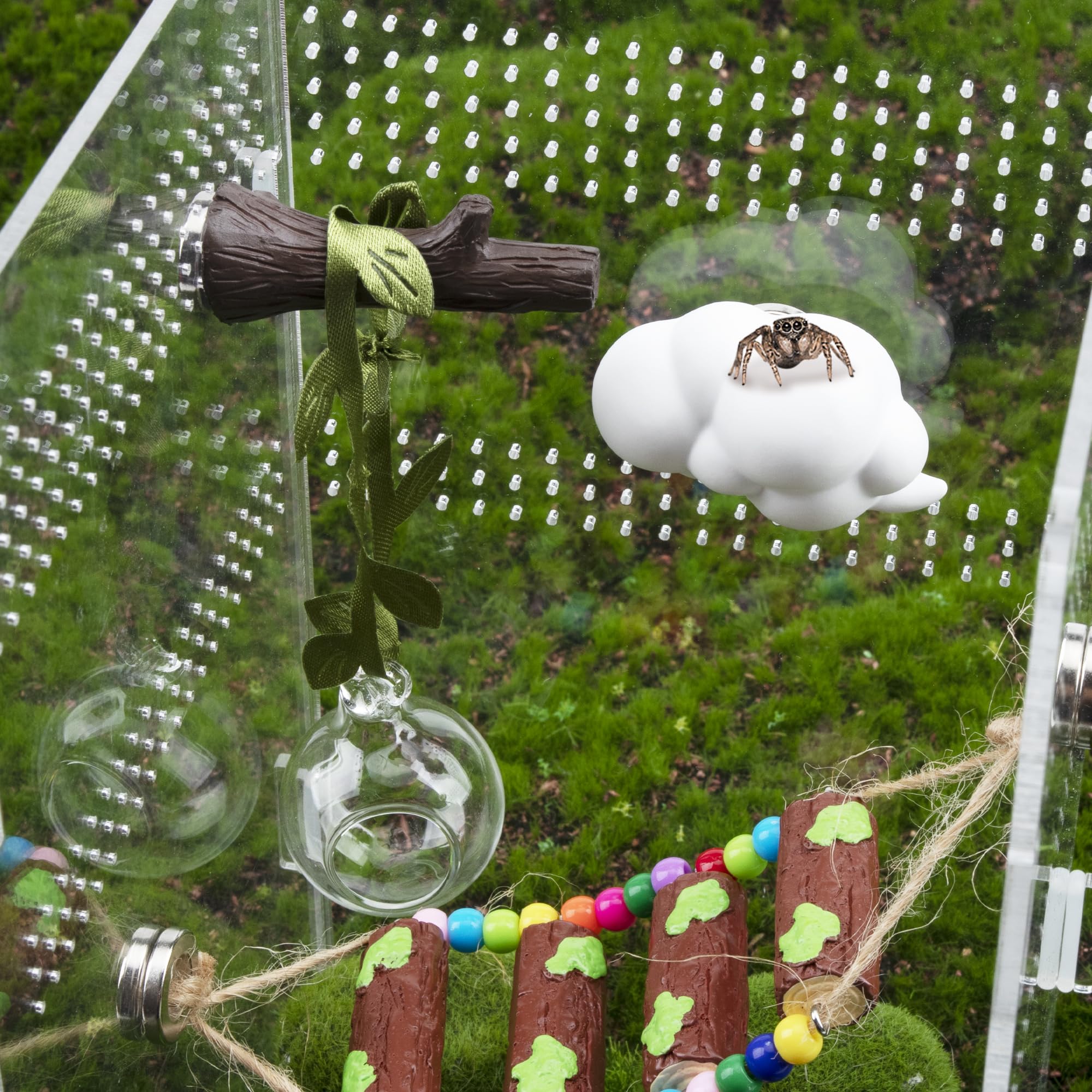 GAGILAND enclosure decor elevates aesthetics while you observe behavior