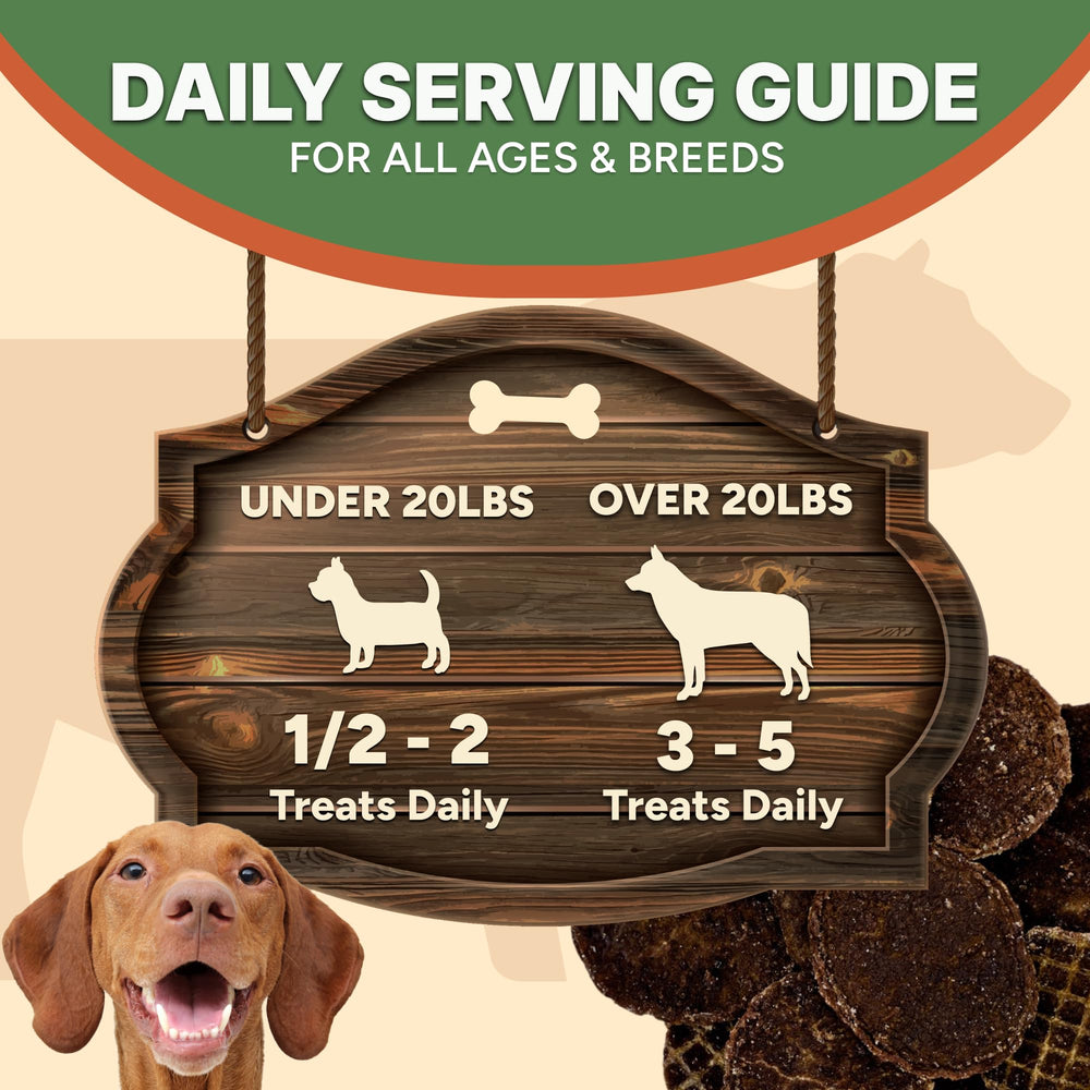 Gaines Family Farmstead Beef Chips low-calorie snack for portion control.