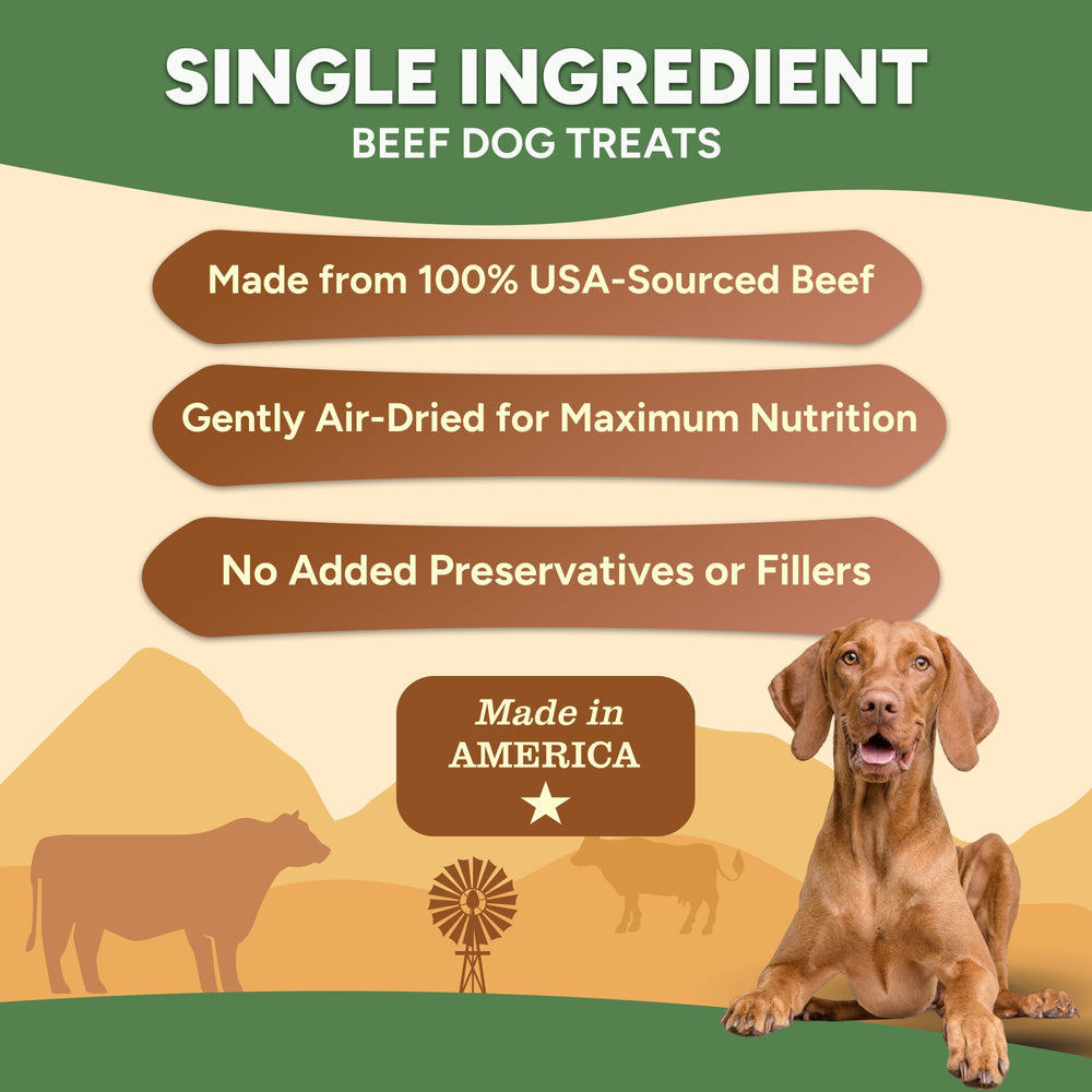 Gaines Family Farmstead Beef Chips single-ingredient beef for sensitive stomachs.