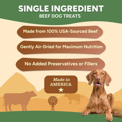 Gaines Family Farmstead Beef Chips single-ingredient beef for sensitive stomachs.