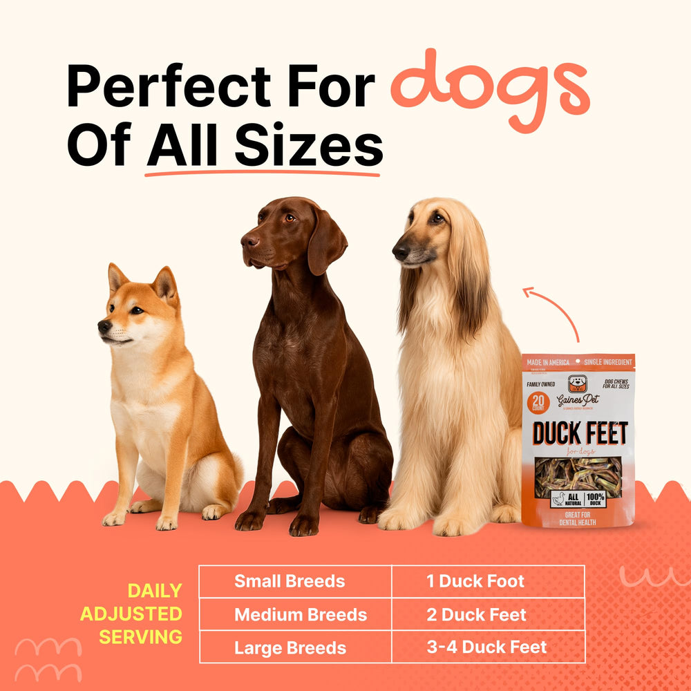 Gaines Family Farmstead duck feet training treat—healthy rewards for dogs.