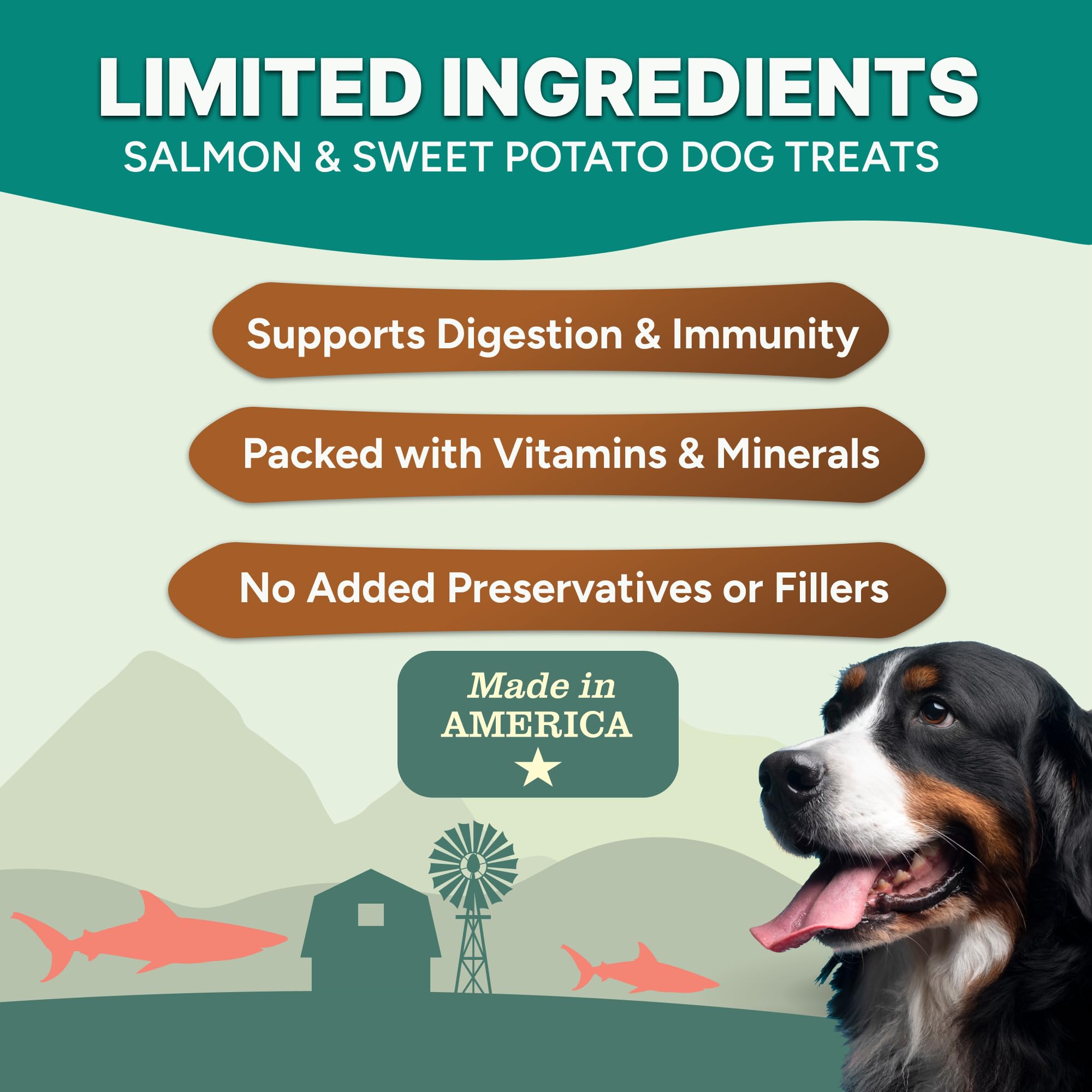 Gaines Family Farmstead Salmón y Batata: filetes con ingredientes naturales para perros.