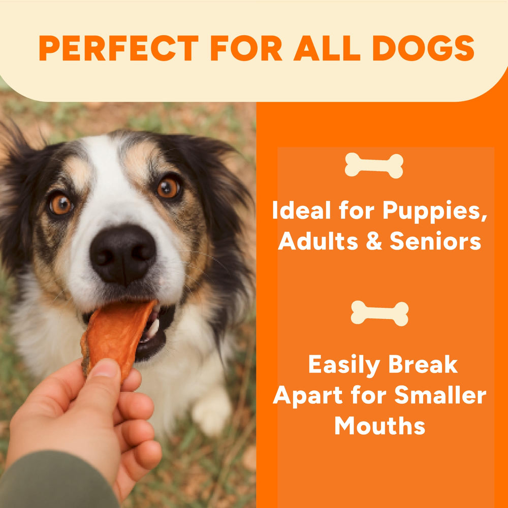 Gaines Family Farmstead grain-free chews present allergy-friendly option for sensitive dogs.