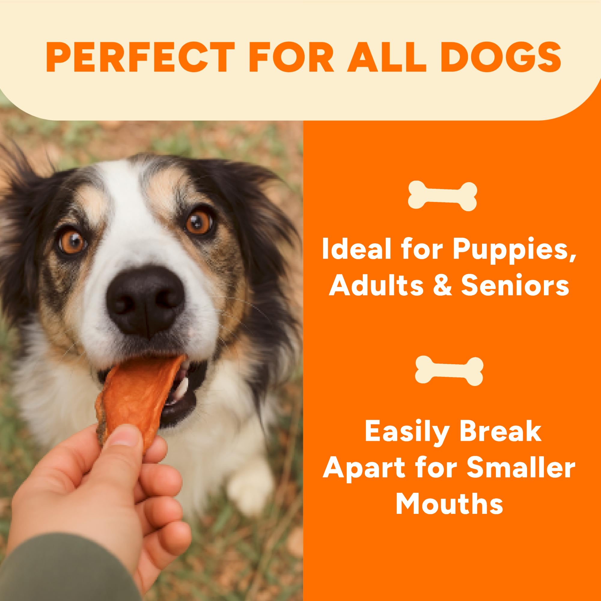 Origin highlight featuring local North Carolina farms for Gaines Family Farmstead Sweet Potato Dog Bones