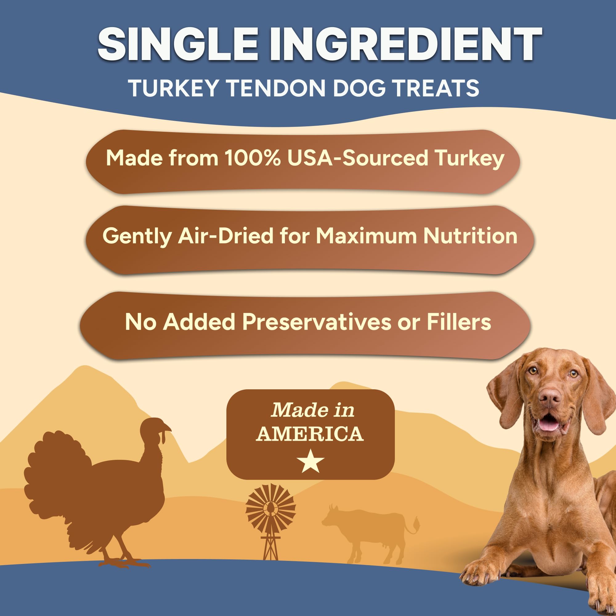 Gaines Family Farmstead turkey tendon chips texture close-up, air-dried to preserve nutrients.