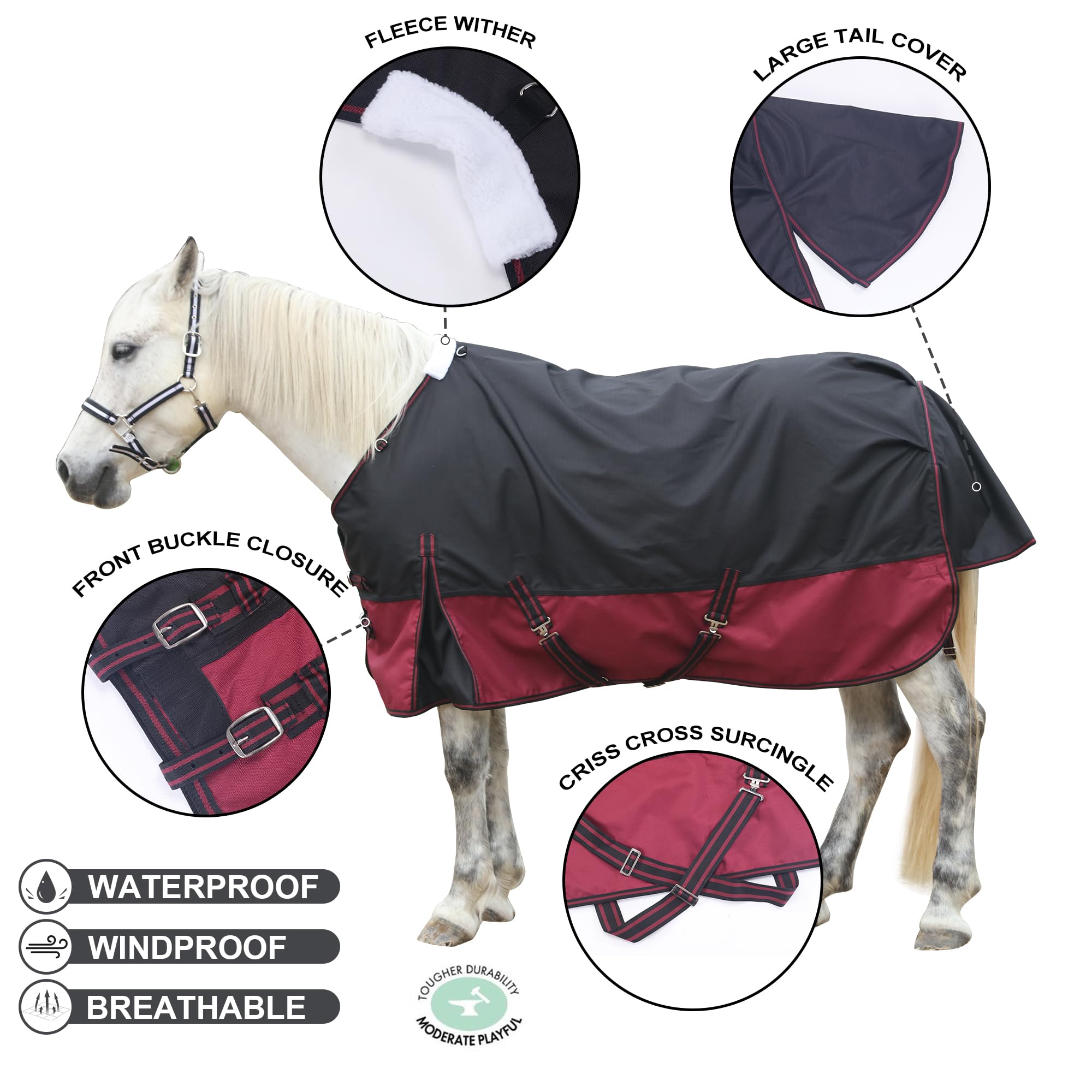 Gallopoff 1200D blanket back view with large tail flap for full coverage.
