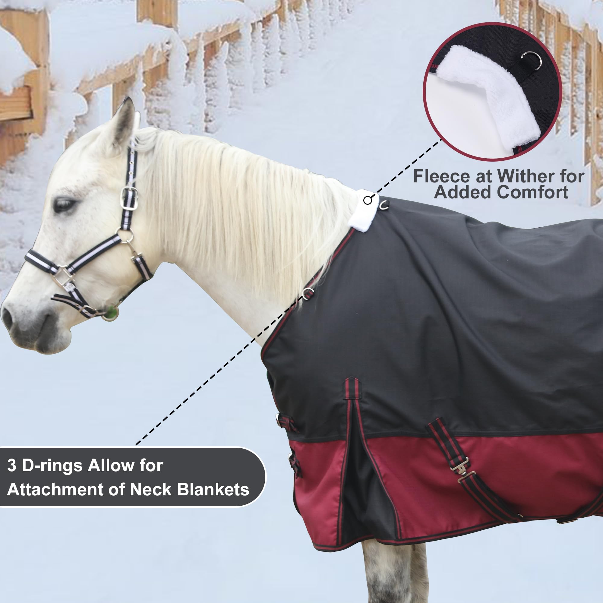 Gallopoff double-buckle front closure with Velcro for easy adjustment.