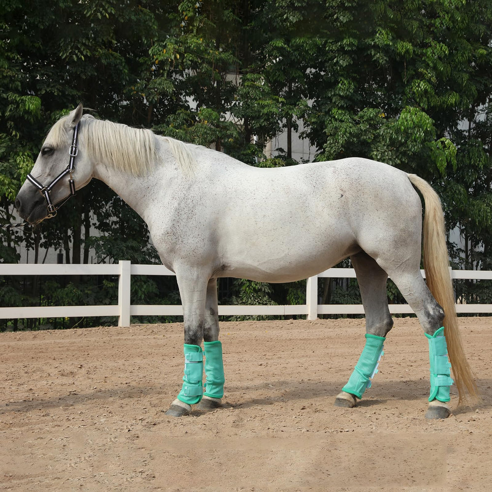 Gallopoff fly boots stacked in box showing long-lasting comfort and easy-on/off