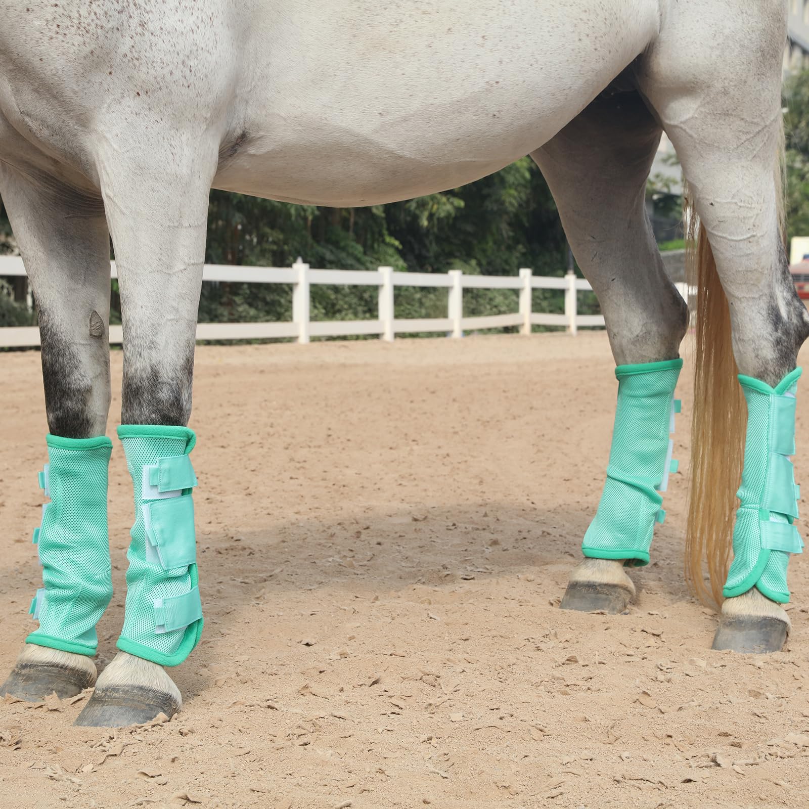 Gallopoff fly boots four-pack in field offering durable protection during turnout
