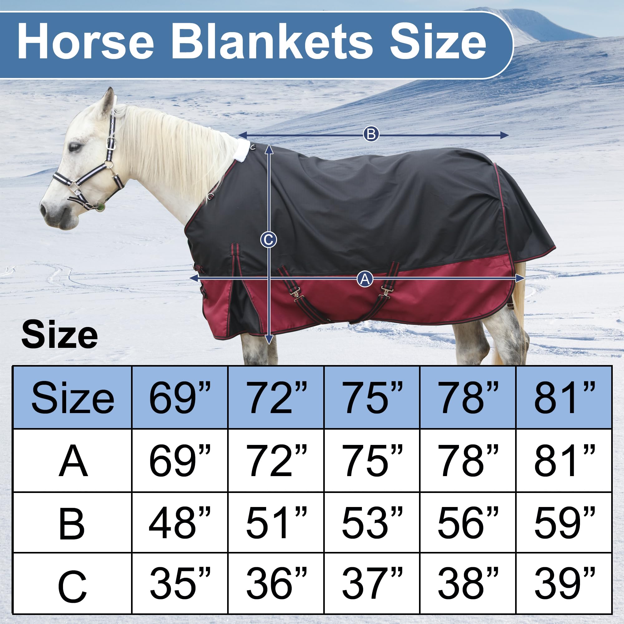 Gallopoff blanket in outdoor turnout demonstrates all-season protection potential.