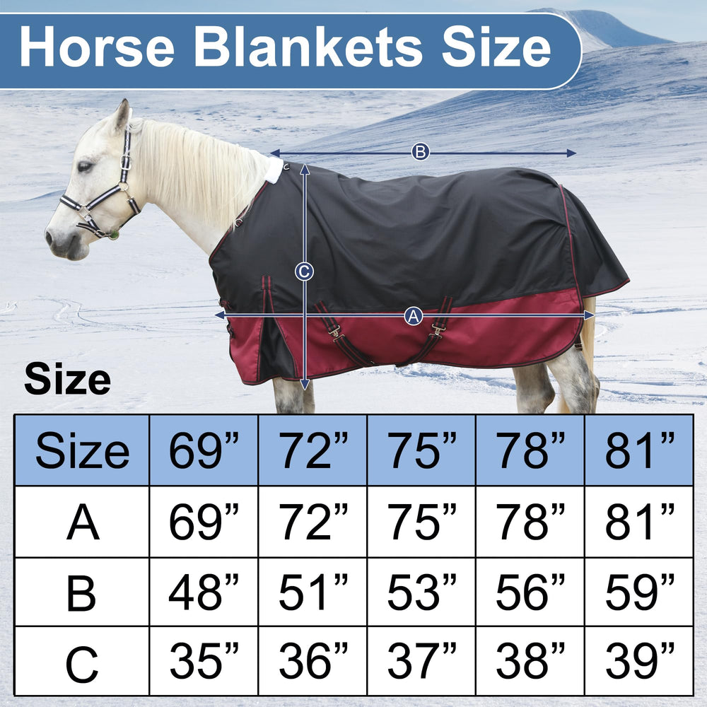 Gallopoff blanket in outdoor turnout demonstrates all-season protection potential.