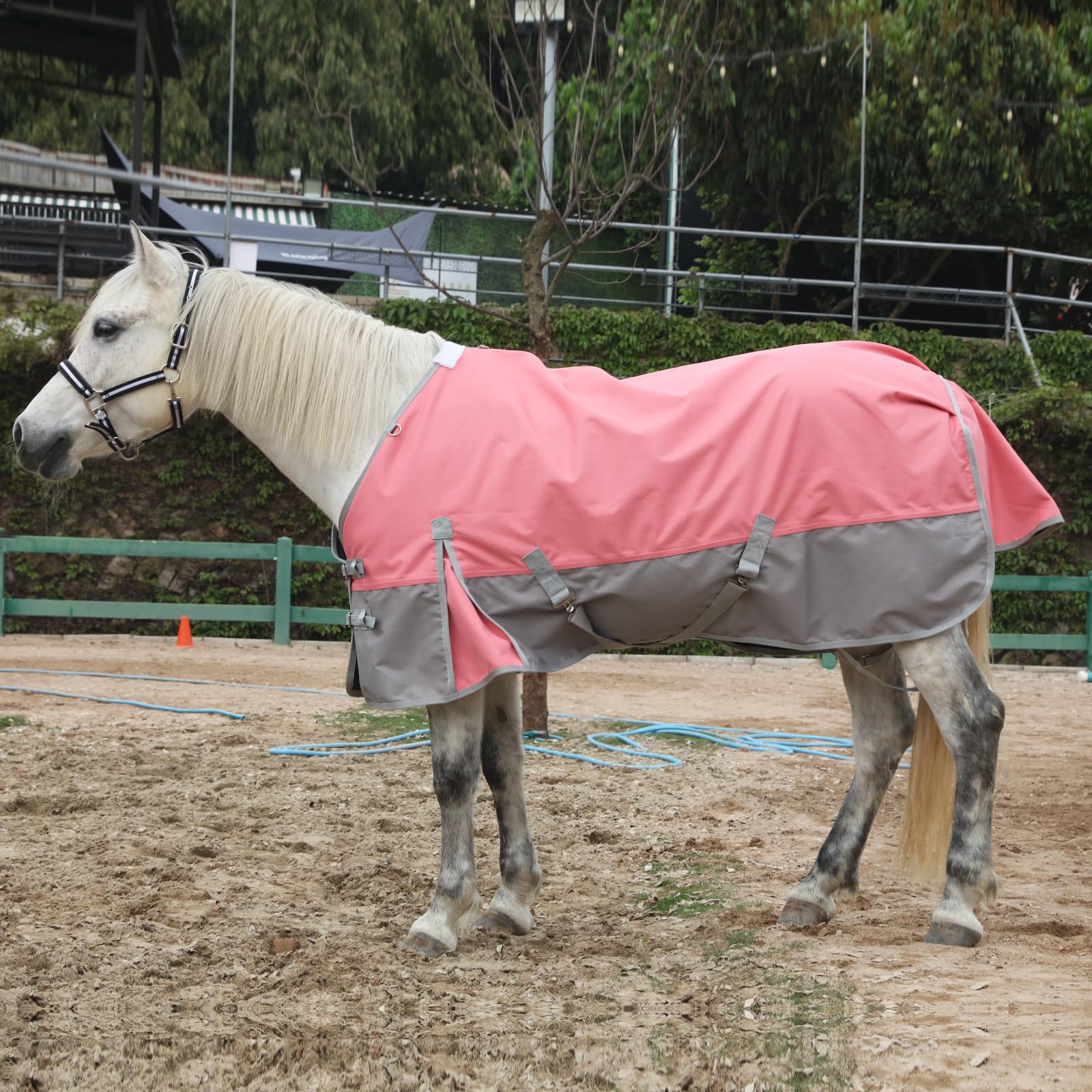 Gallopoff tail flap coverage adds extra rain protection during paddock turnout.