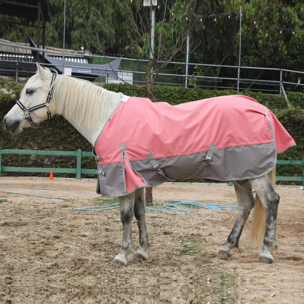 Gallopoff tail flap coverage adds extra rain protection during paddock turnout.