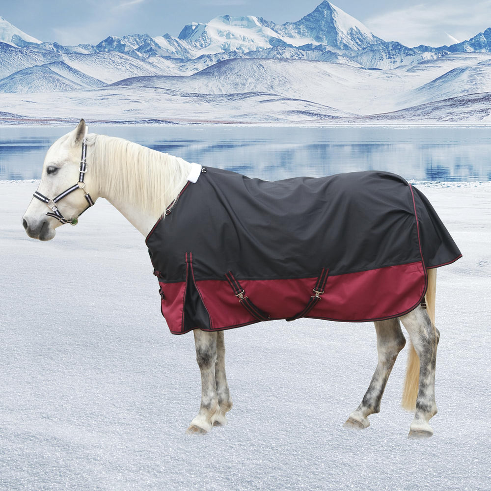 Gallopoff waterproof windproof exterior keeps horse dry in windy weather.